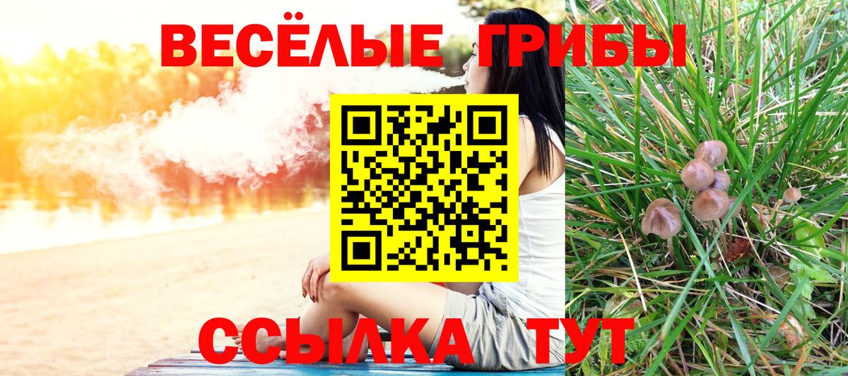 где купить наркоту  Галлюциногенные грибы мухоморы  Дубна  Вход с VPN  Псилоцибиновые грибы ЛСД 